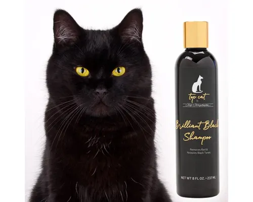 Pet Care