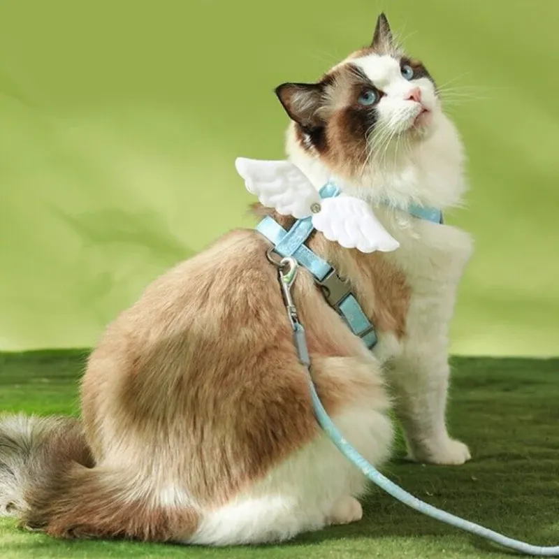 Cat Angel Harness